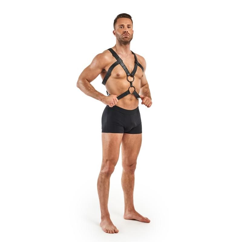 Bedroom Fantasies Rocco Bondage Harness Black